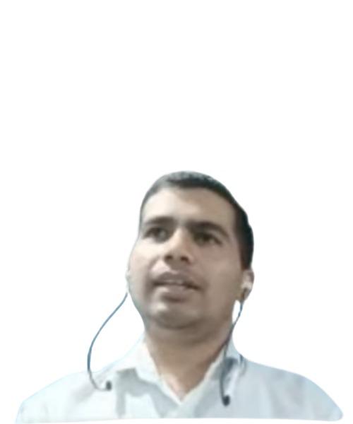 Mr. Vishal Damahe